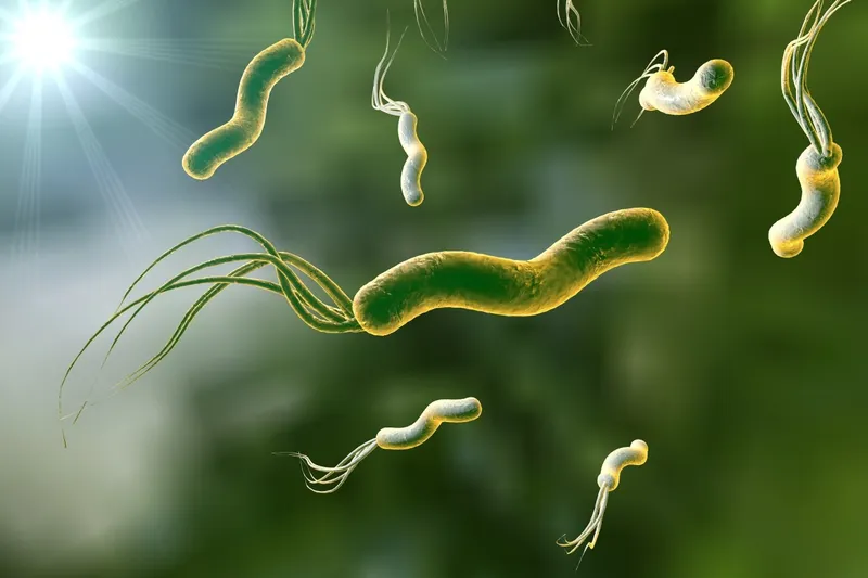 h pylori igg là gì