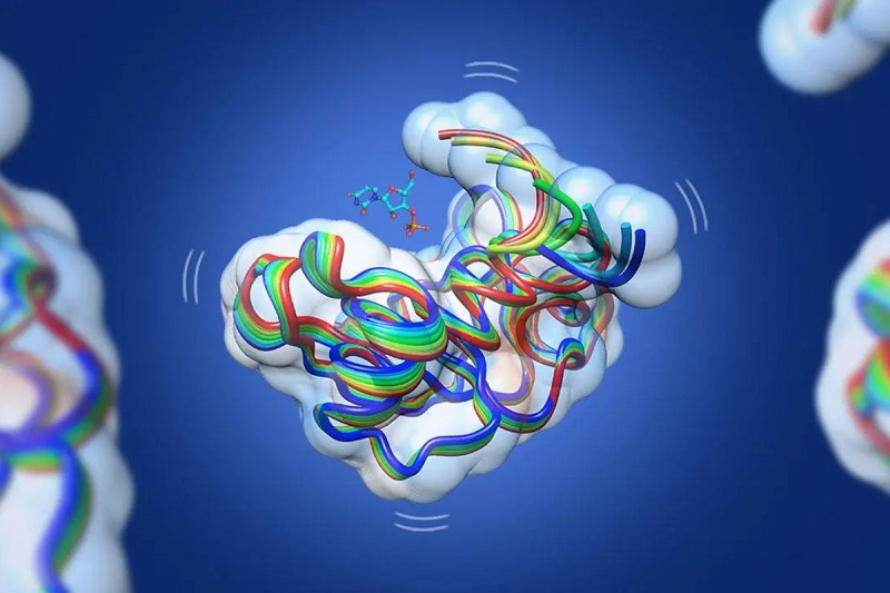 Ăn gì để có nhiều enzyme