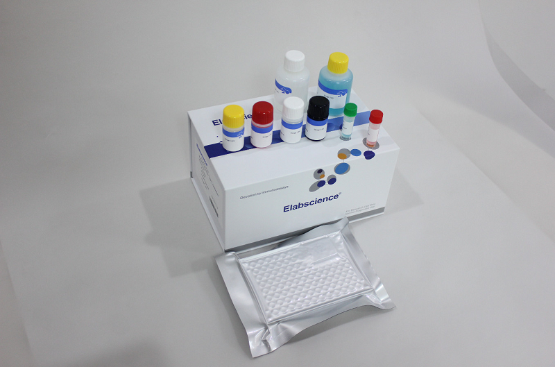 cách test vi khuẩn hp tại nhà