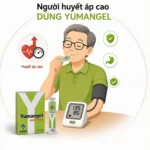người huyết áp cao dùng yumangel được không