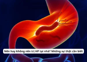 trị hp tại nhà
