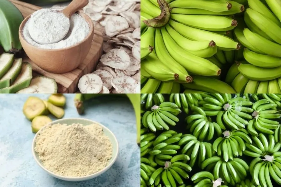 Chuối xanh hay chuối chín tốt hơn cho người đau dạ dày?