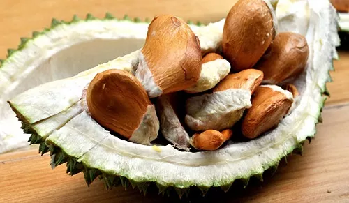 ăn sầu riêng đau dạ dày