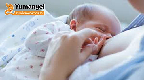 Trẻ sơ sinh nên bú 8–12 lần mỗi ngày trong khoảng tháng đầu tiên.