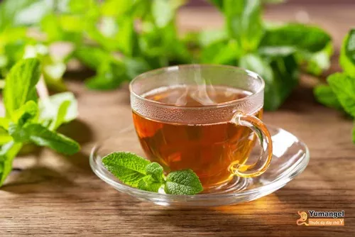 Uống trà bạc hà ấm chữa đau rất vùng thượng vị khi đói