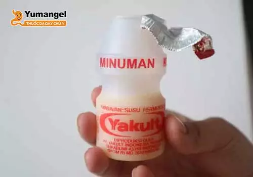 Người bệnh trào ngược hoàn toàn có thể uống Yakult để nạp thêm các chất dinh dưỡng và lợi khuẩn hỗ trợ tiêu hóa.