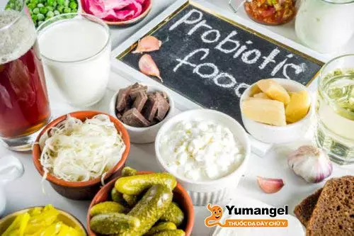 Sữa chua và các thực phẩm chứa probiotic cũng là lựa chọn tốt cho bệnh nhân trào ngược dịch mật