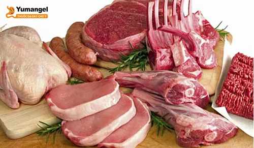 Người bị viêm hang vị dạ dày nên dùng các thực phẩm chứa lượng protein vừa phải như thịt gà, thịt lợn…
