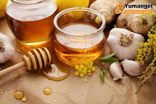 Một số nguyên liệu tự nhiên khác ngoài nha đam giúp chữa viêm loét dạ dày như tỏi, mật ong, cam thảo, nhựa cây mastic, nước ép bắp cải… 