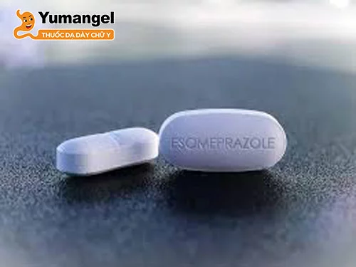 Thành phần chính của thuốc trào ngược dạ dày Esomeprazol là hoạt chất Esomeprazol. 