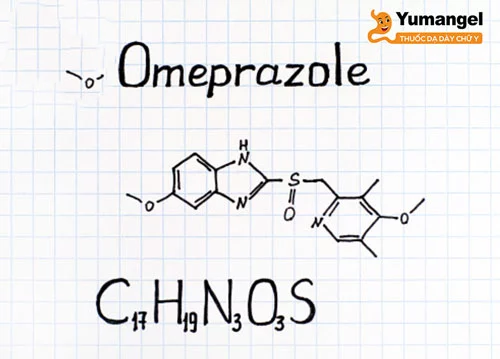 Esomeprazole chính là dạng đồng phân S- của omeprazole và làm giảm sự bài tiết axit dạ dày bằng một cơ chế tác dụng chuyên biệt. 