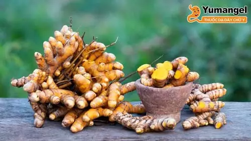 Nghệ có chứa curcumin - một polyphenol mạnh với đặc tính chống viêm được phát hiện giúp làm giảm tình trạng viêm ở niêm mạc dạ dày.