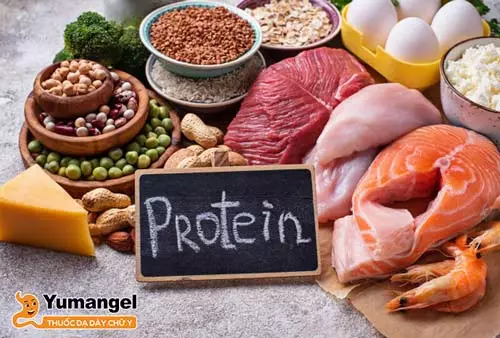 Người bị phù nề dạ dày nên ăn thực phẩm có chất béo và protein lành mạnh.