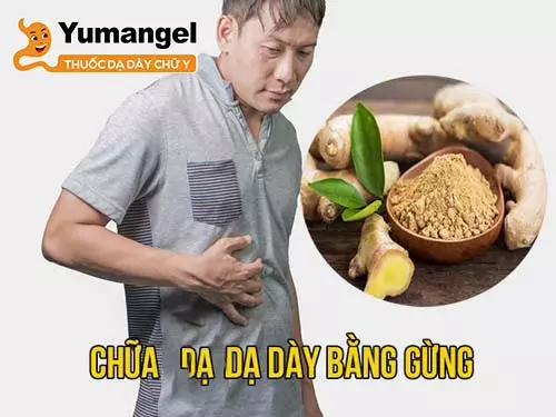 Gừng chữa viêm hang vị dày. 