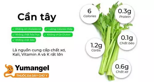 Nước ép cần tây giàu chất xơ, vitamin và chất khoáng. 