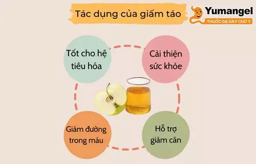 Một số công dụng của giấm táo với sức khỏe và làn da. 